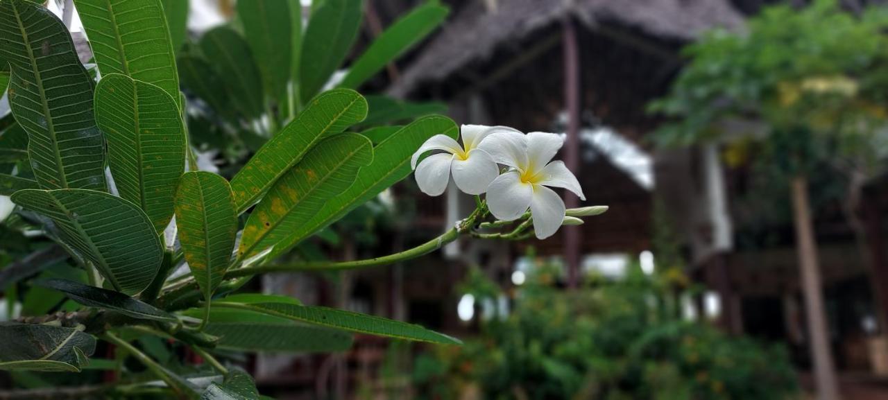 Kena Beach Hotel Matemwe  Exterior foto